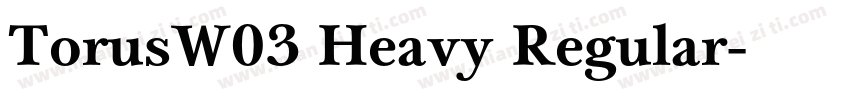 TorusW03 Heavy Regular字体转换